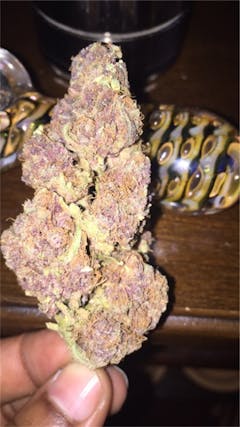 User uploaded image of The Truth