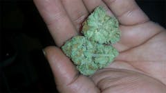 User uploaded image of The Truth