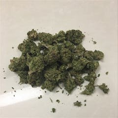 User uploaded image of The Truth