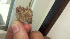 User uploaded image of The Truth