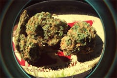 User uploaded image of The Void