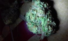 User uploaded image of The Void