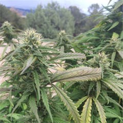 User uploaded image of The Void