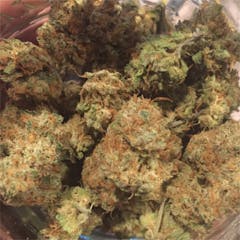 User uploaded image of The White