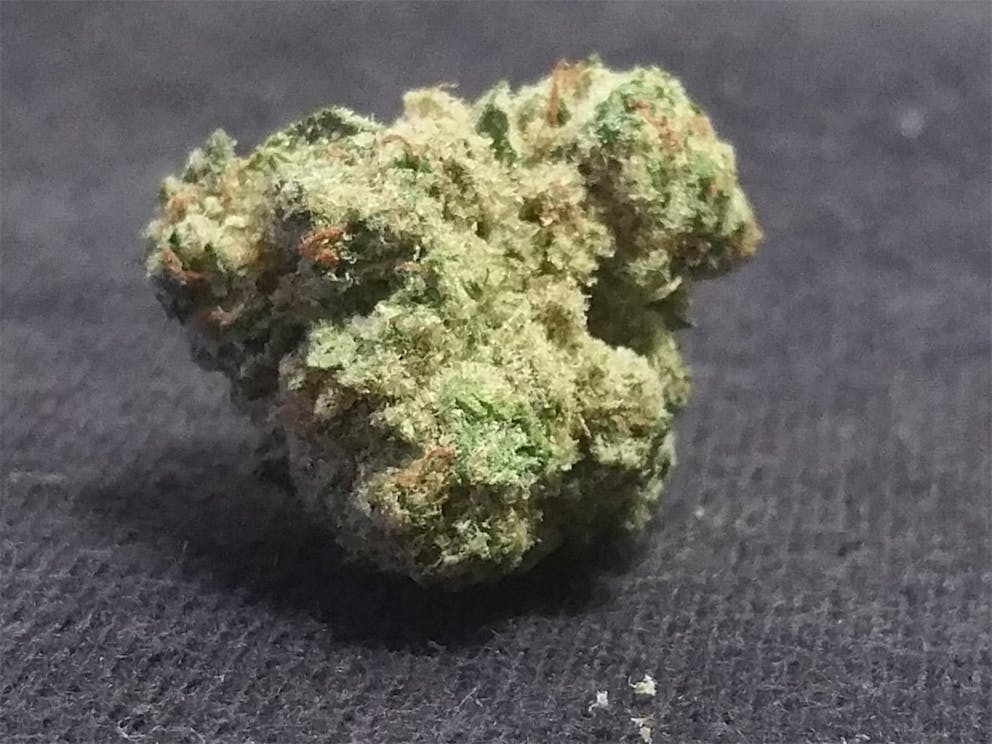 Photos of The White Weed Strain Buds Leafly