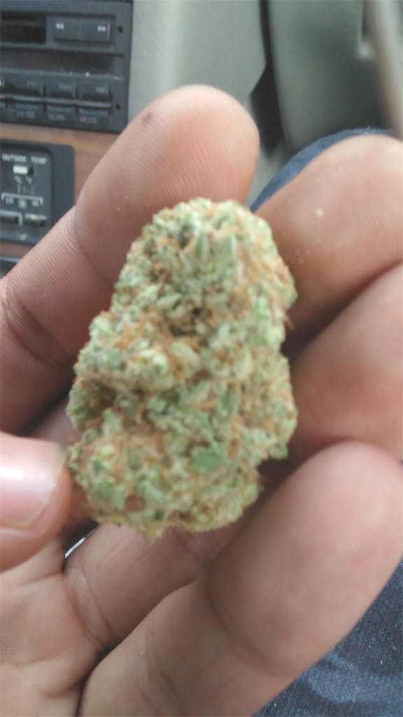 Photos of The White Weed Strain Buds Leafly