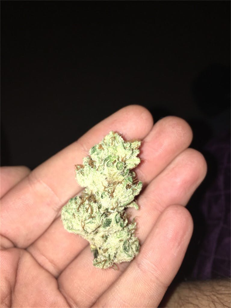 Photos of The White Weed Strain Buds Leafly
