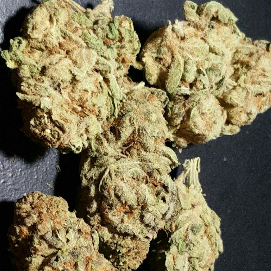 Thelonious Skunk Weed Strain Information | Leafly