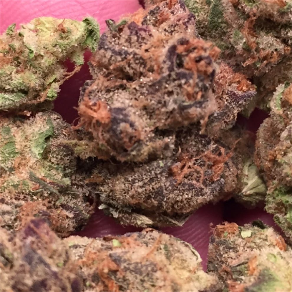 Photos of Thin Mint GSC Weed Strain Buds Leafly