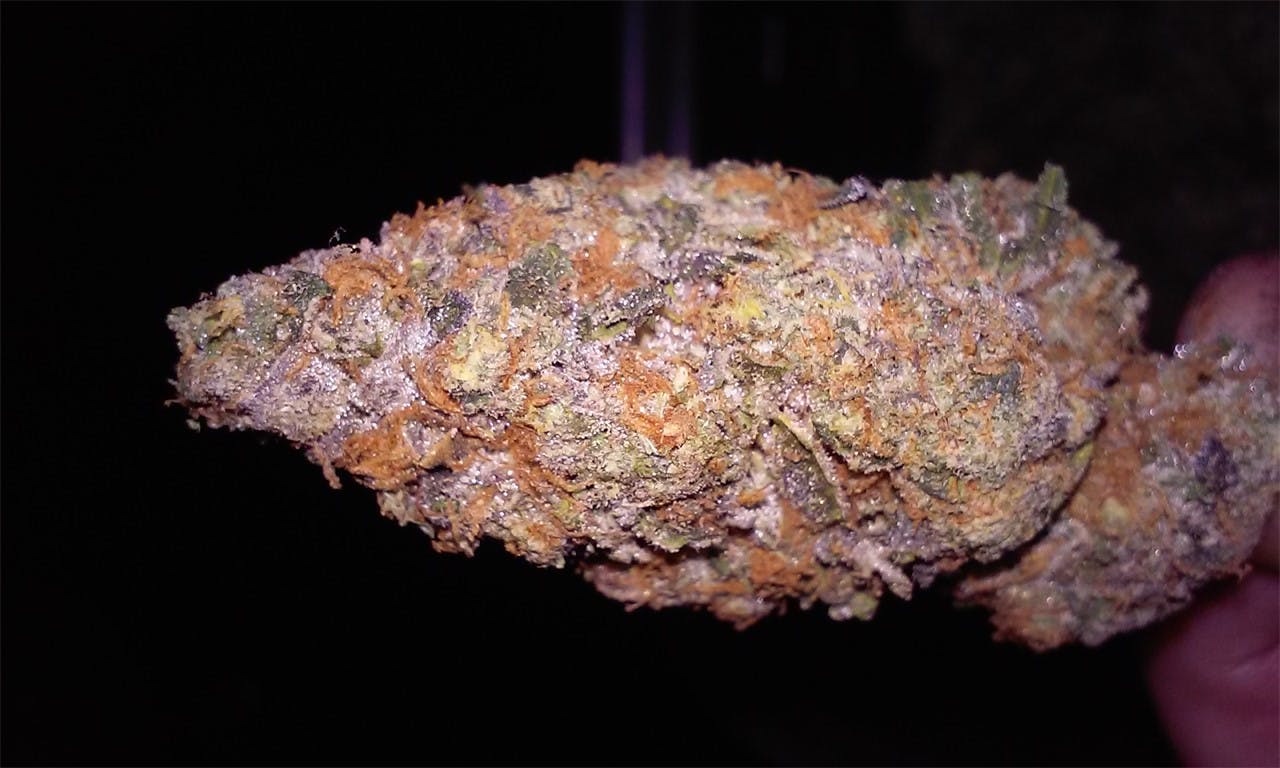 Photos of Thin Mint GSC Weed Strain Buds Leafly