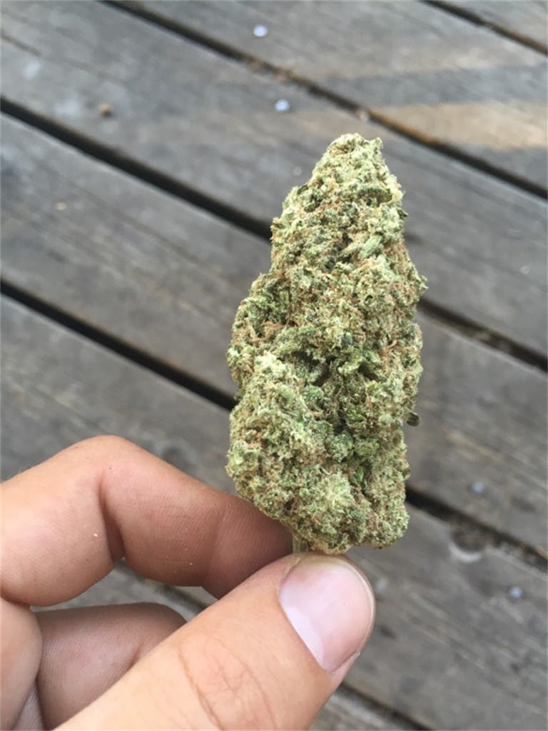 Photos of Thin Mint GSC Weed Strain Buds Leafly