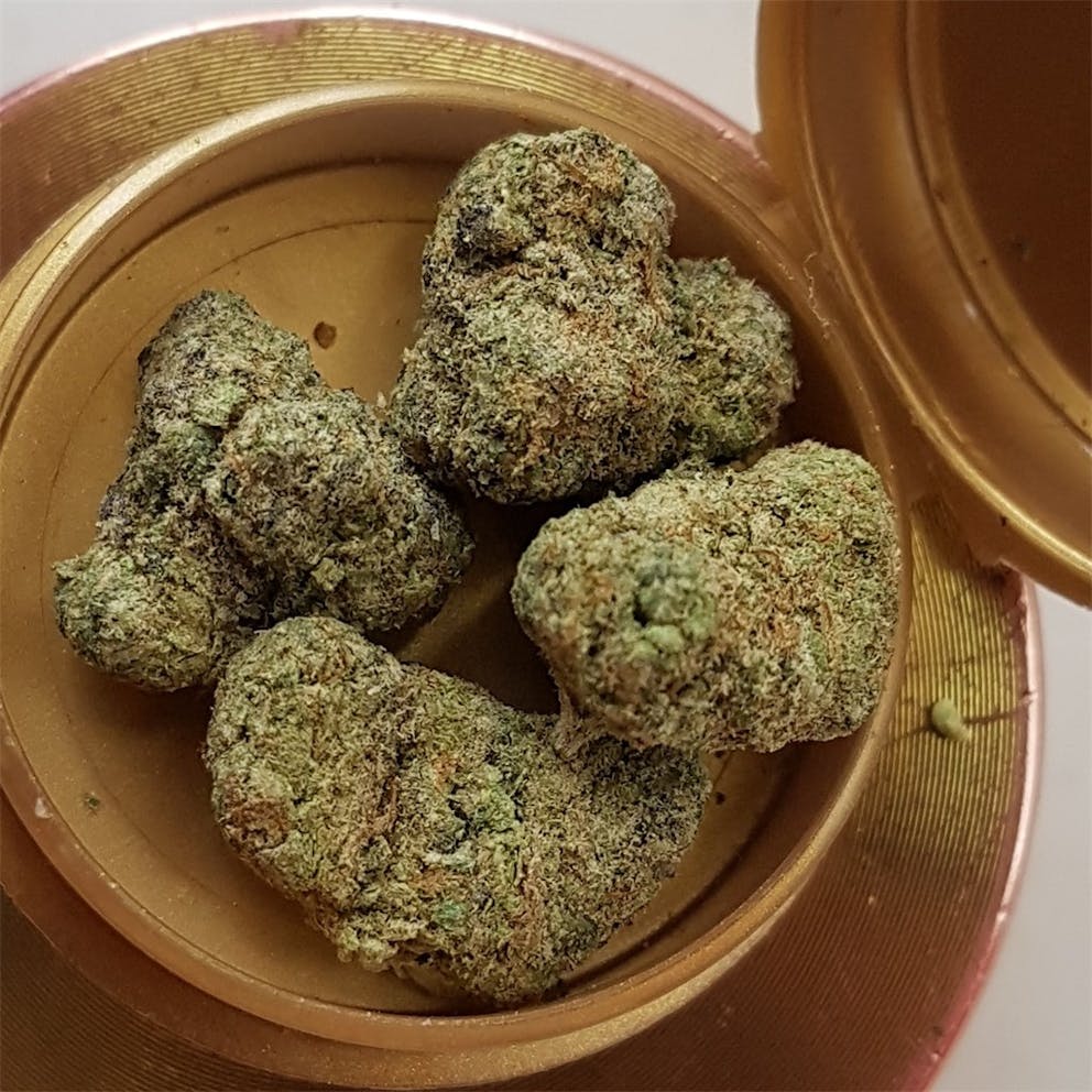 Photos of Thin Mint GSC Weed Strain Buds Leafly