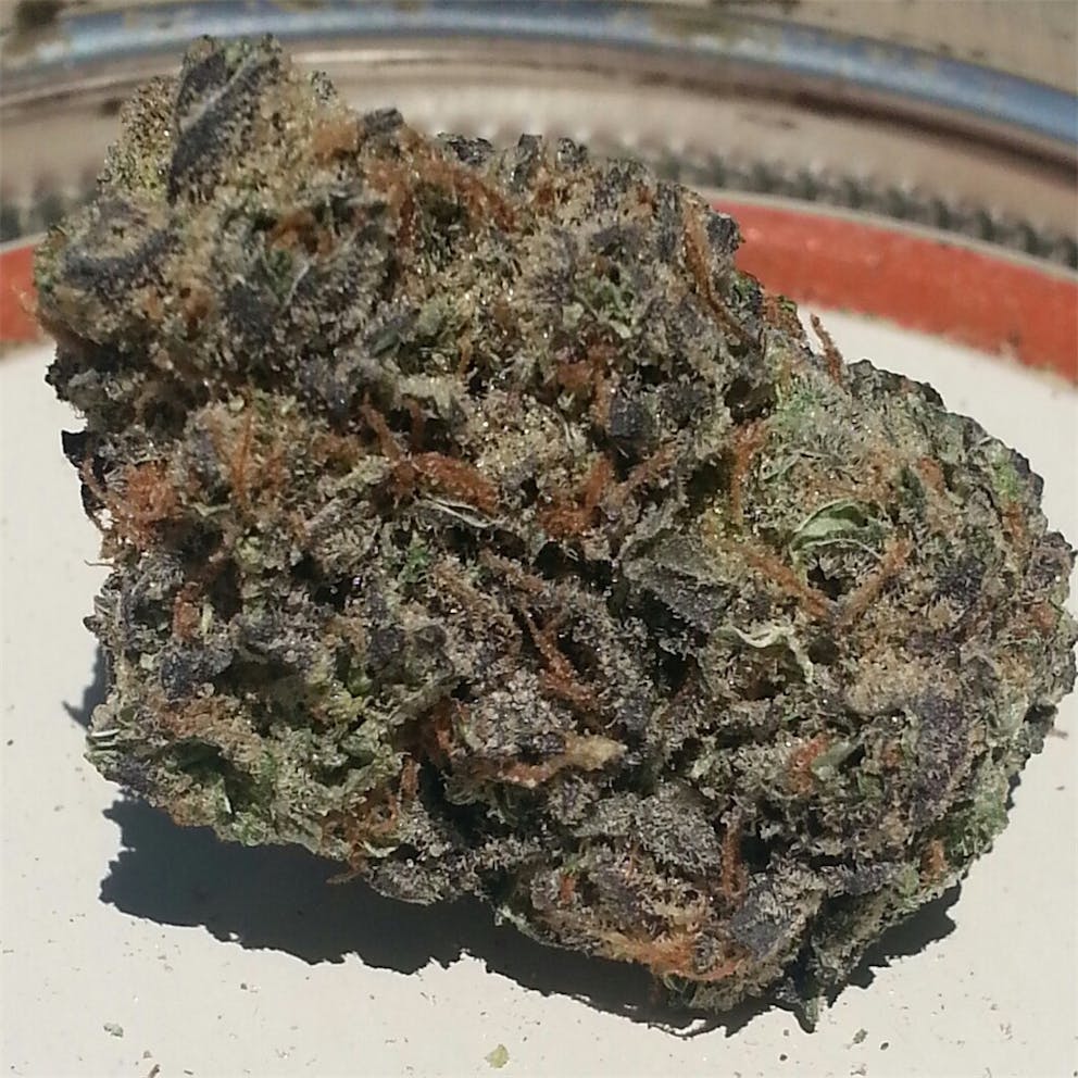 Photos of Thin Mint GSC Weed Strain Buds Leafly