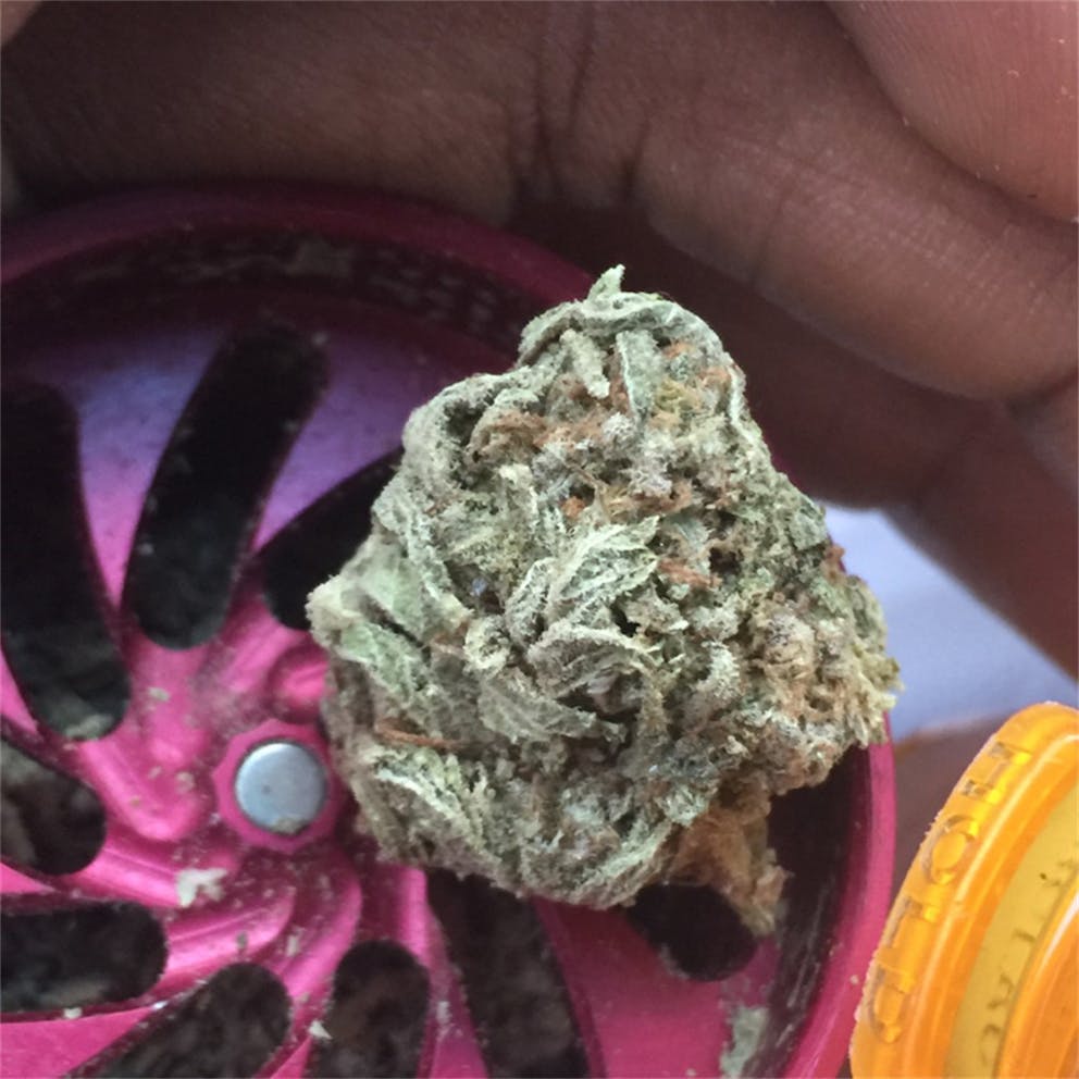 Photos of Thin Mint GSC Weed Strain Buds Leafly