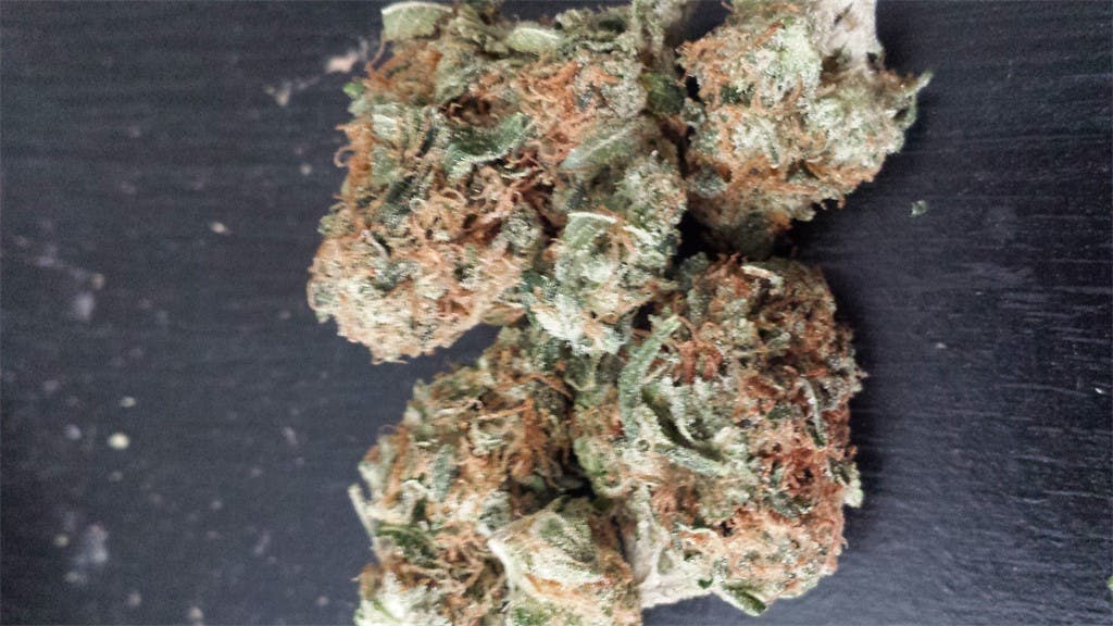 Photos of Thin Mint GSC Weed Strain Buds Leafly