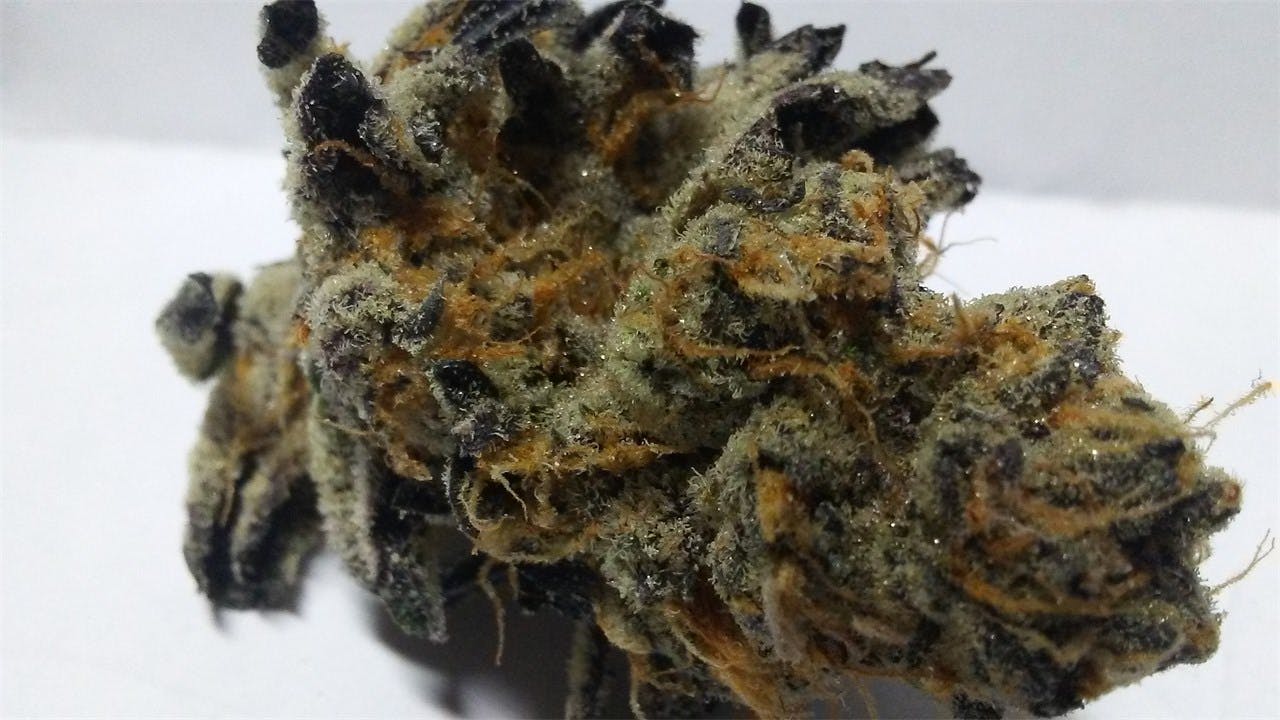 Photos of Thin Mint GSC Weed Strain Buds Leafly