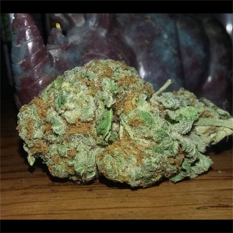 Photos of Thin Mint GSC Weed Strain Buds Leafly