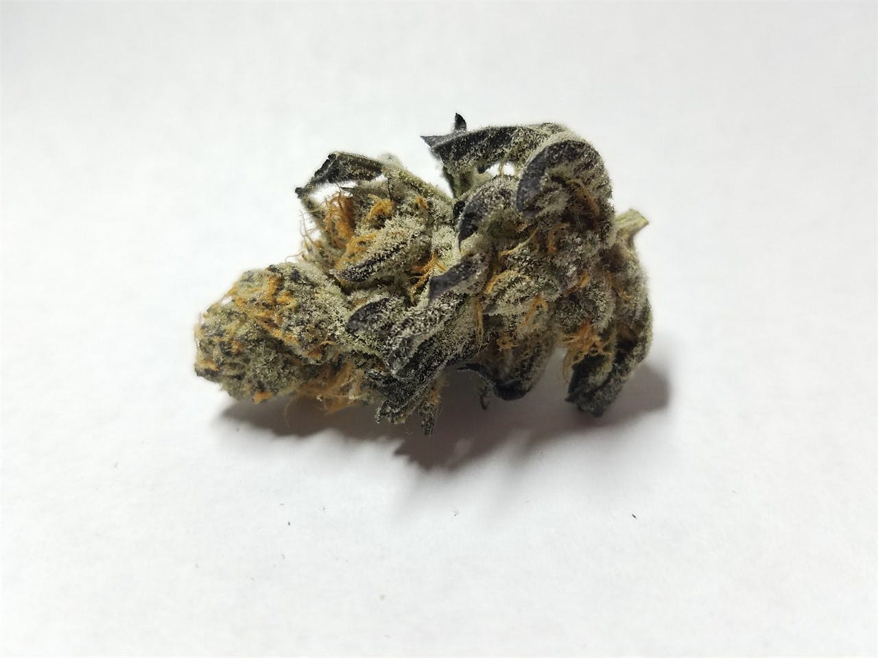 Thin Mint aka Thin Mint GSC, Thin Mints, Thin Mint Cookies, Thin Mint