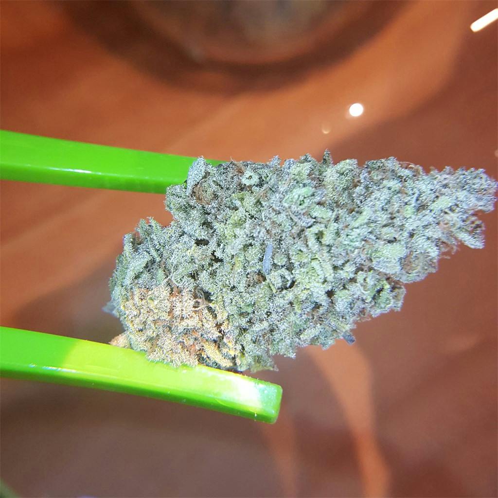 Photos of Thin Mint GSC Weed Strain Buds Leafly