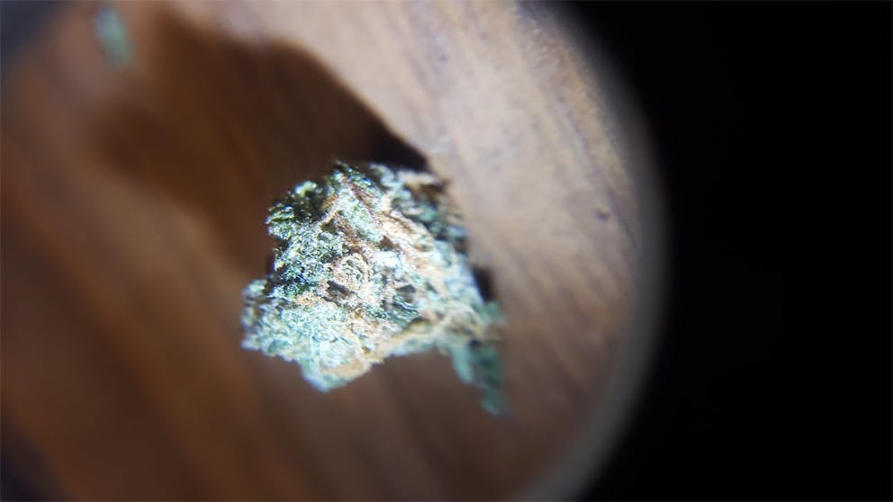 Photos of Thin Mint GSC Weed Strain Buds Leafly