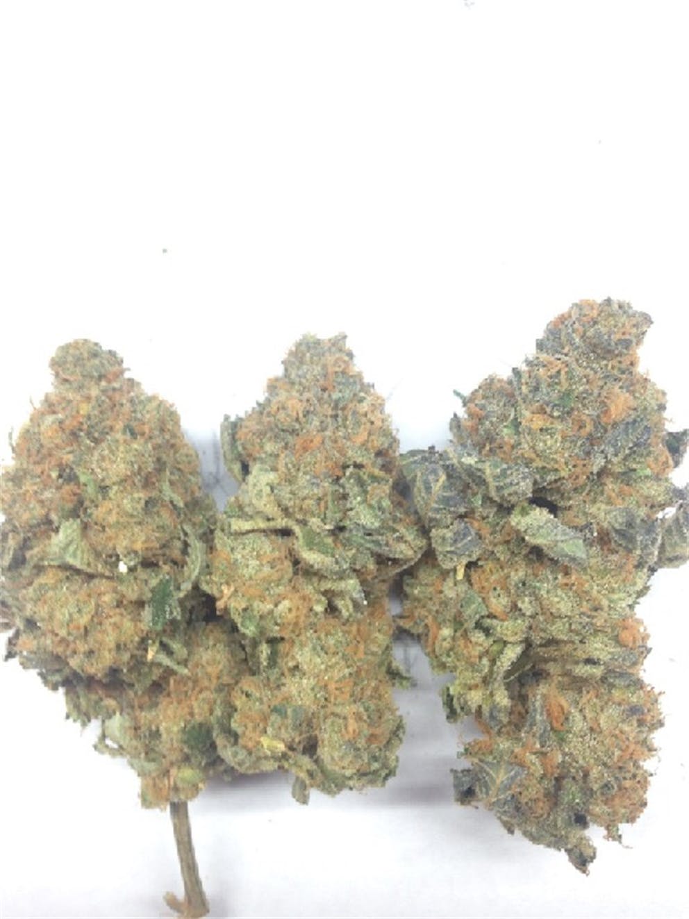 Photos of Thin Mint GSC Weed Strain Buds Leafly