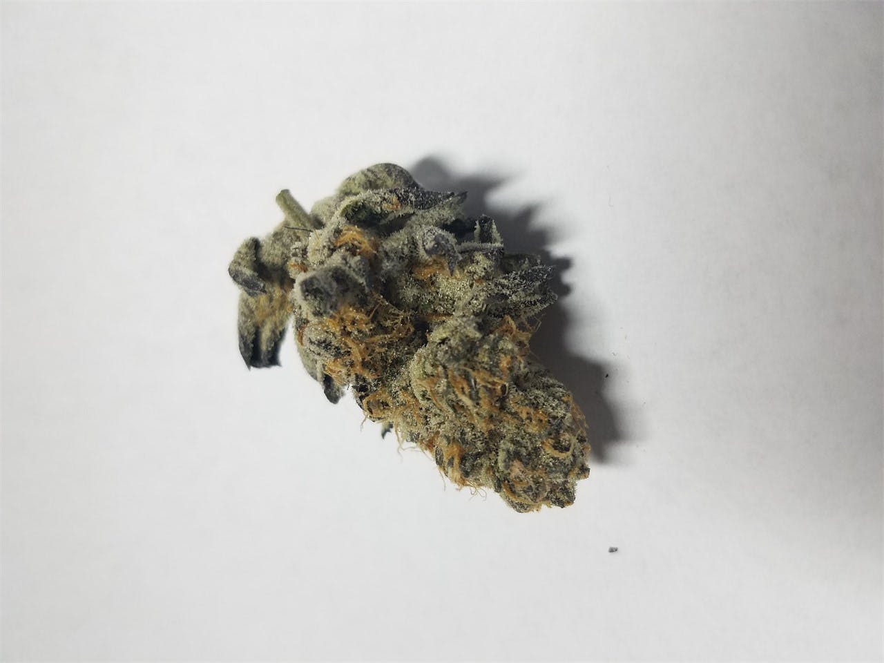 Thin Mint aka Thin Mint GSC, Thin Mints, Thin Mint Cookies, Thin Mint