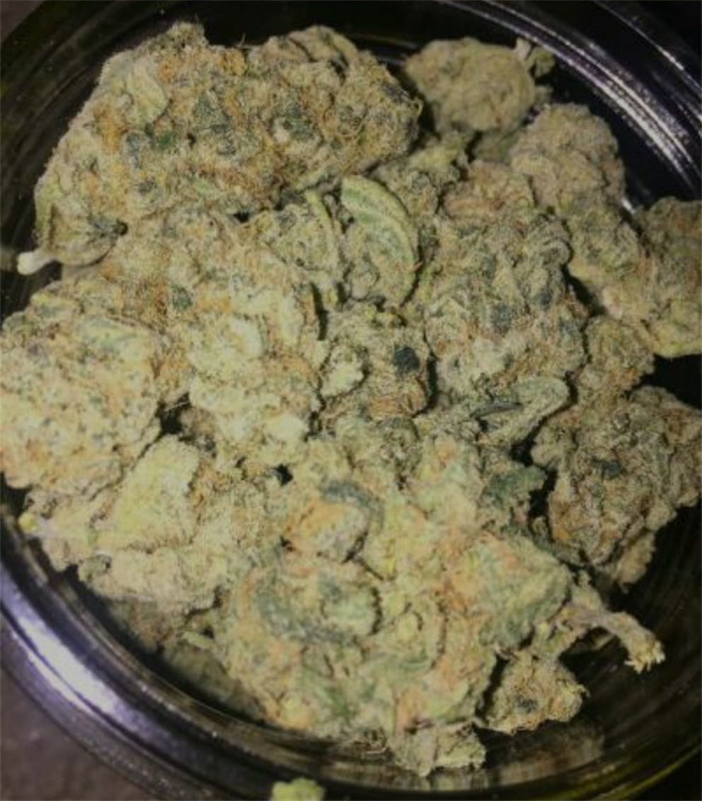 Photos of Thin Mint GSC Weed Strain Buds Leafly