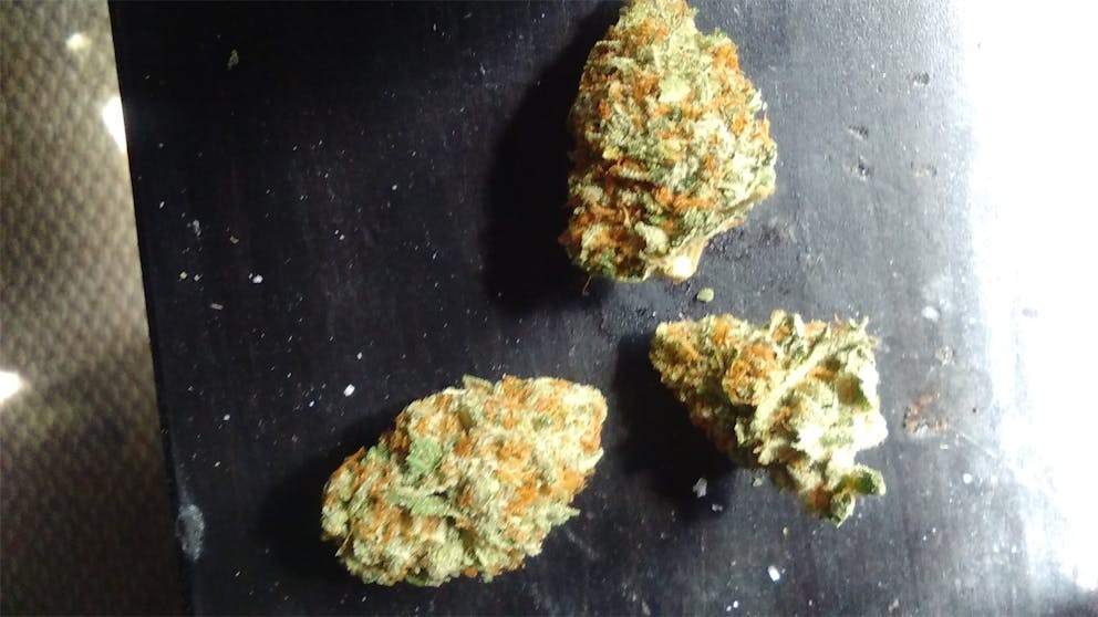 Photos of Thin Mint GSC Weed Strain Buds Leafly