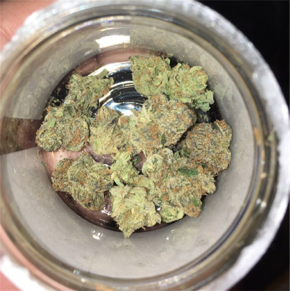 Photos of Thin Mint GSC Weed Strain Buds Leafly