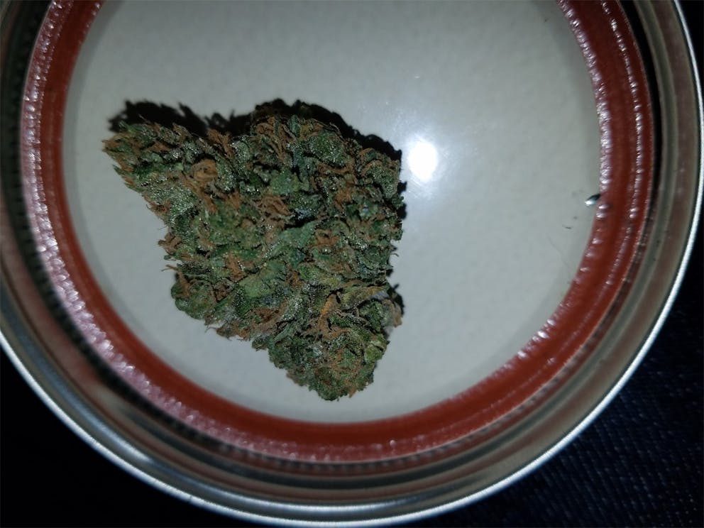 Photos of Thin Mint GSC Weed Strain Buds Leafly