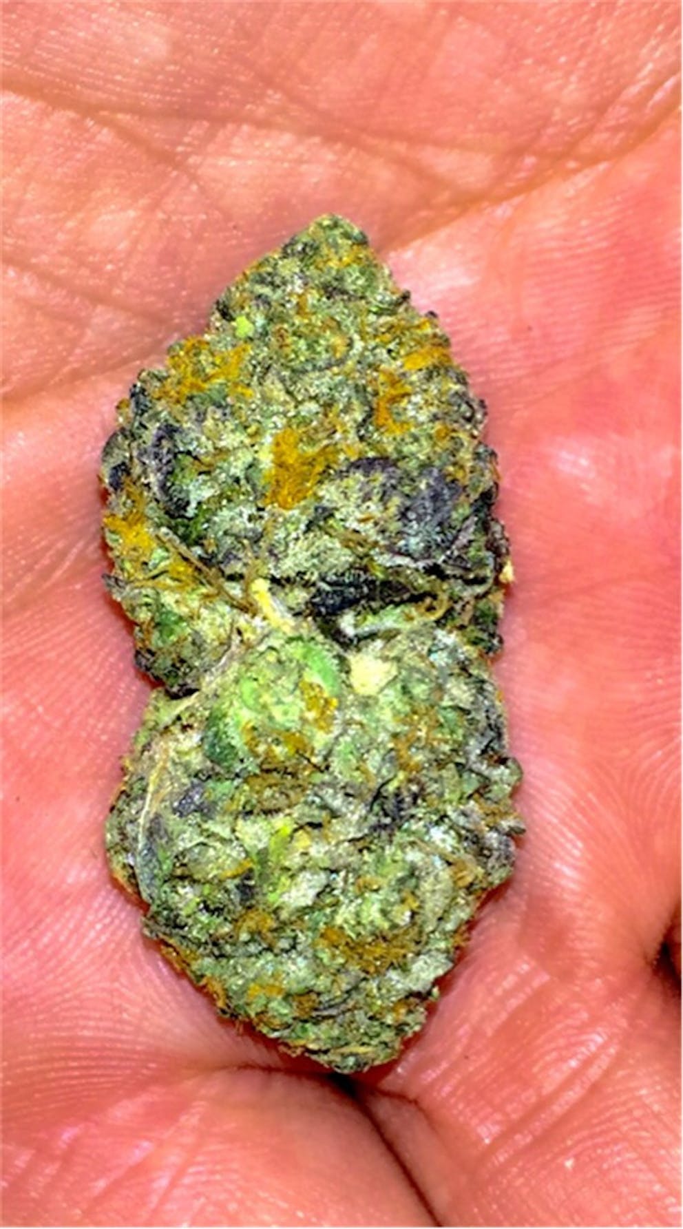 Photos of Thin Mint GSC Weed Strain Buds Leafly