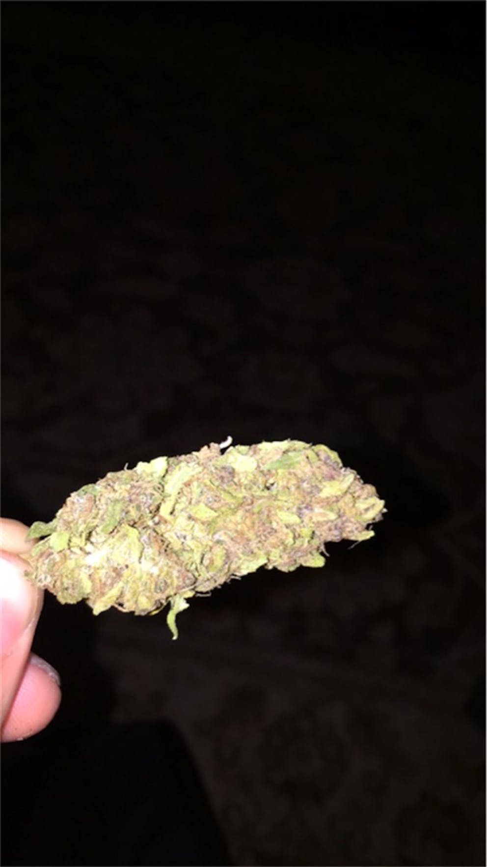 Photos of Thin Mint GSC Weed Strain Buds Leafly