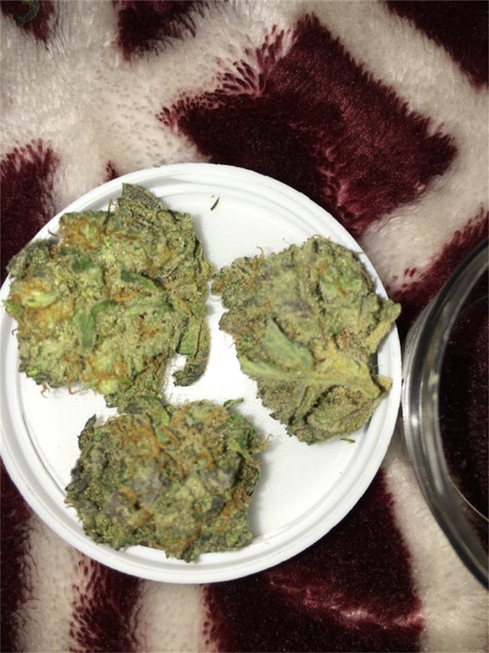 Photos of Thin Mint GSC Weed Strain Buds Leafly