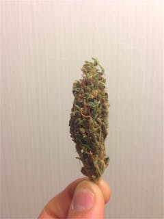 User uploaded image of Think Different