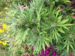 User uploaded image of Think Different