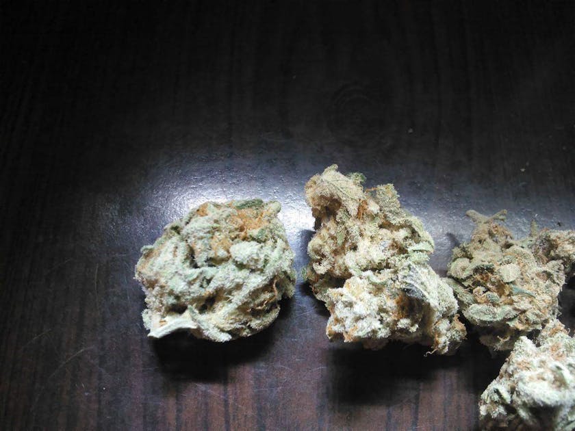 Photos of Thor's Hammer Weed Strain Buds Leafly