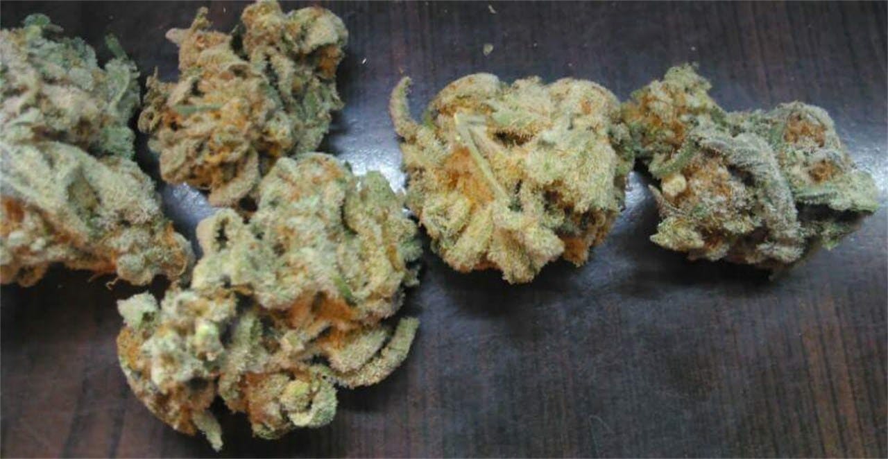 Thor's Hammer Weed Strain Information Leafly