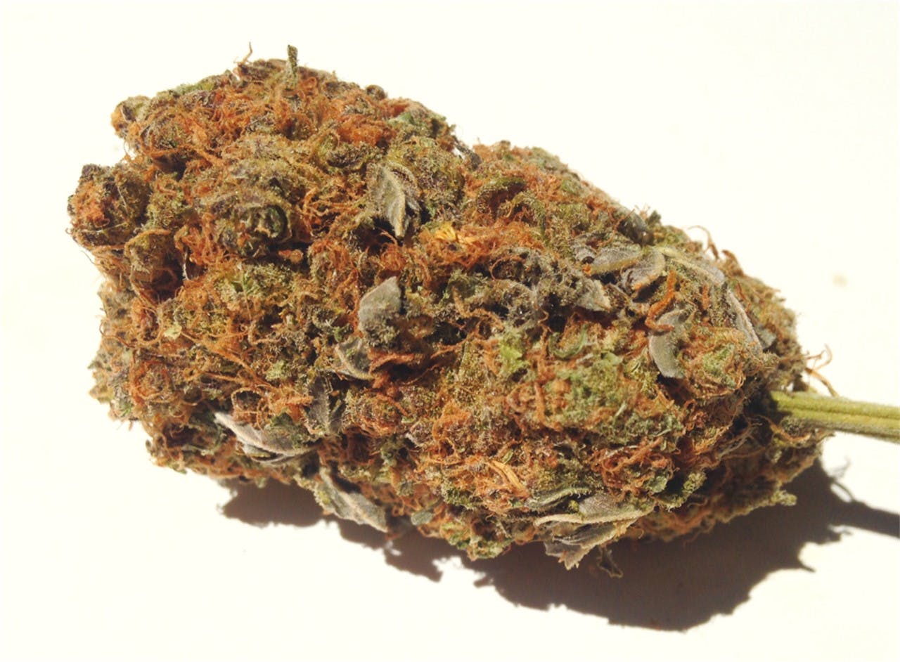 Thor's Hammer Weed Strain Information Leafly