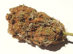 User uploaded image of Thor's Hammer