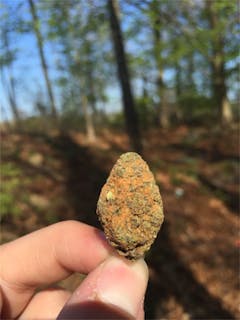 User uploaded image of Thor's Hammer