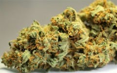 User uploaded image of Thunderstruck