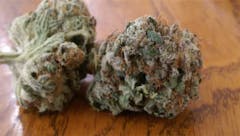 User uploaded image of Tickle Kush