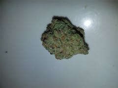 User uploaded image of Tiger's Milk