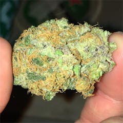 User uploaded image of Timewreck