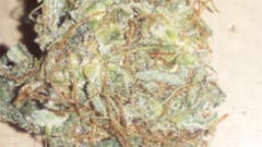 User uploaded image of Timewreck