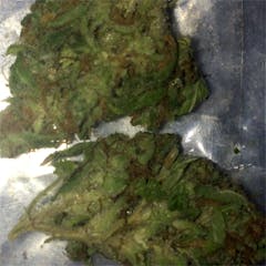 User uploaded image of Tina Danza