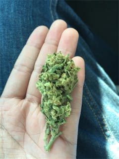 User uploaded image of Titan Haze