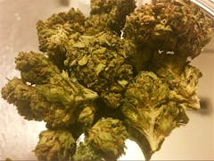 User uploaded image of Tokyo OG