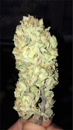 User uploaded image of Tokyo OG