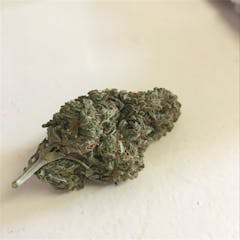 User uploaded image of Toxic Punch